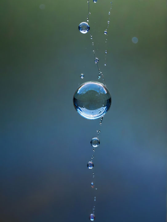 Pipette mit Flüssigkeit XX